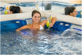 Airport Hotel Budapest - Vecses, Jacuzzi