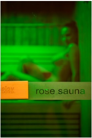 Hotel Aquarell, Cegled, Sauna