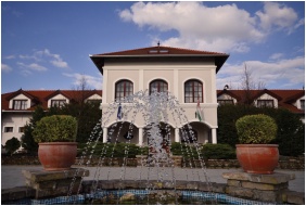 Bodrogi Kuria Wellness Hotel - Inarcs