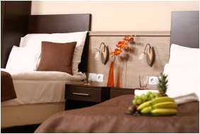 Central Hotel 21, Studio Room