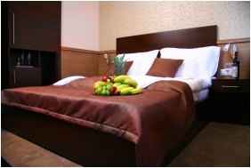 Central Hotel 21, Budapest, Standard room