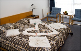 Club Hotel Tihany, Camera Standard