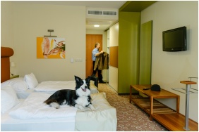 F�rd�szoba - Corso Hotel P�cs