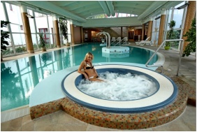 Dr�va Hotel Thermal Resort, �lm�nymedence