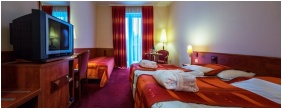 Park Hotel Erzsebet - Paradfurdo