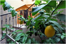Szauna - F�nix Kast�lyszanat�rium �s Eg�szs�ghotel
