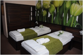 Mas�e, Hotel Green Budapest, Budapest