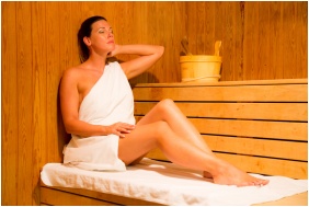 Hotel Aphrodite, Infrasauna