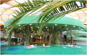 Hunguest Hotel Aqua-Sol, Inside pool