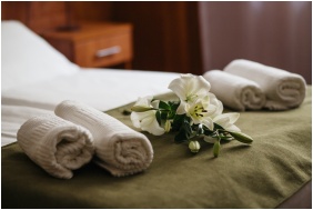 Hotel Atlantic Budapest, Ambiente da ricezione - Budapest