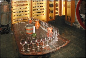 Hotel Bacchus - Keszthely, Borospince