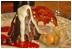Hotel Bacchus - dessert