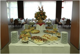 Hotel Benczur, Sala de proiectie - Budapesta