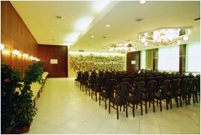 Hotel Benczur, Sala de conferinta