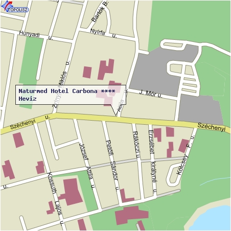 Naturmed Hotel Carbona - Heviz