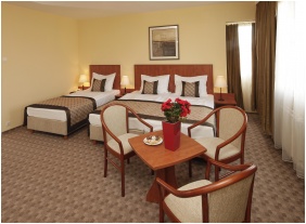 Hotel Charles, Chambre delux - Douche