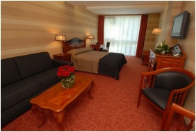 Hotel Divinus, Superior Zimmer - Debrecen