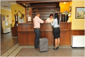 Hotel Erzsebet - Heviz