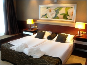 Hotel Fagus - Sopron, Swimming pool