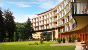 Hotel Fagus - Sopron, Ambiete da piscina