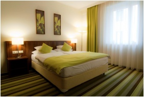 Hotel Ginkgo Sas, Classic room
