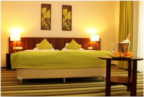 Classic room, Hotel Ginkgo Sas, Hodmezovasarhely