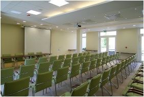 Hotel Ginkgo Sas, Conference room