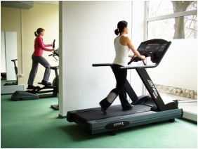 Hunguest Hotel Helios, Fitness t�locvi�na