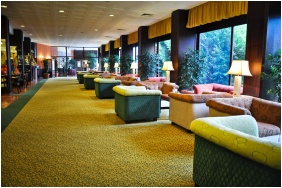 Danubius Hotel Lover - Sopron, Ricezione