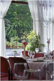 Danubius Hotel Lover - Sopron, Sala separata