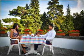 Danubius Hotel Lover - Sopron, Conference room