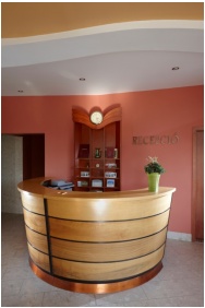 Ricezione - Hotel Millennium