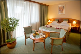 Hotel Palace - Heviz, Large pool