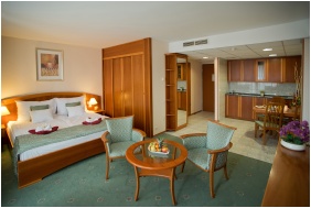 Hotel Palace - Heviz, Spa area