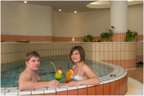 Palace Hotel  - Heviz, Fitness room