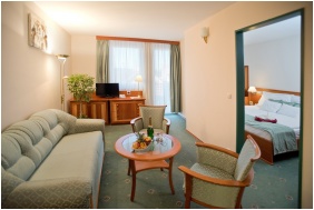 Hotel Palace - Heviz, reception area