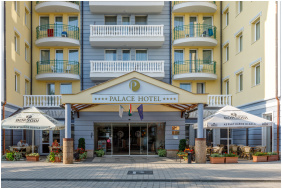Hotel Palace - Heviz, Outside view