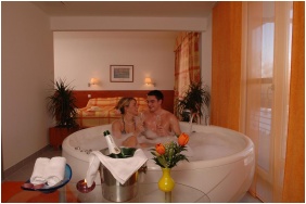 Billard, Hotel Repce Gold - B�kf�rd�
