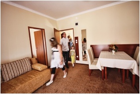 Hotel Viktoria - Sarvar, Family room