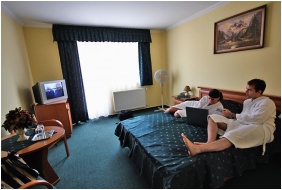 Hotel Viktoria - Sarvar, Doccia