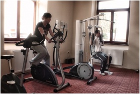 Sala fitness - Hotel Viktoria
