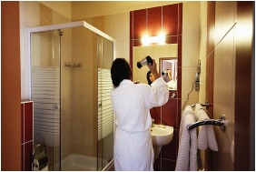 Hotel Viktoria - Sarvar, Bagno