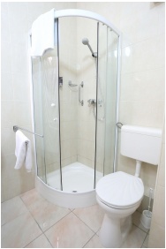 Hotel Wesselenyi, Gyor, Camera Business