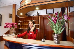 Hotel Wesselenyi, Camer� doubl� comfort - Gyor