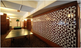 Hunguest Hotel Hoforras, Table tenis - Hajduszoboszlo