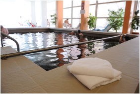 Hunguest Hotel Hoforras, Pool
