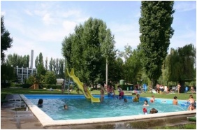 Nereus Park Hotel - Balatonalmadi, Becken