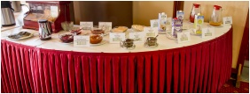 t�rgyal�terem - Ramada Hotel Lake Balaton - Balatonalm�di