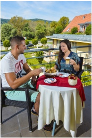 Royal Club Hotel - Visegrad, Konferenzraum