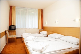Thermal Hotel Harkany, Konferenzraum